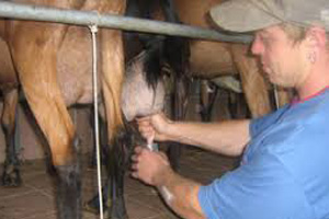 Produits de la ferme