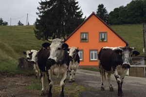 Fermes-Auberges